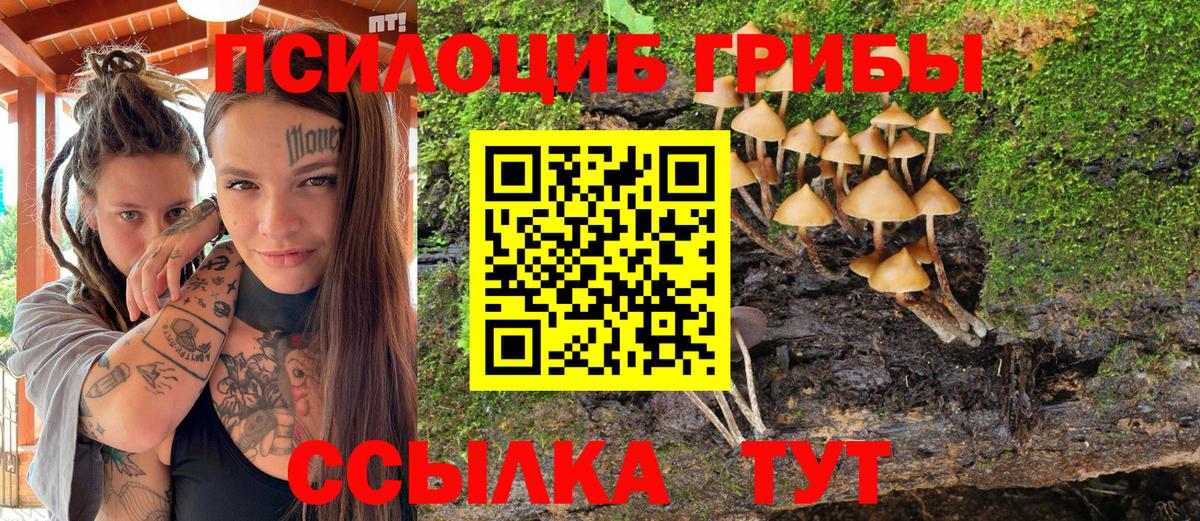 Галлюциногенные грибы Cubensis  Галлюциногенные грибы мухоморы  Фролово  Вход с VPN 