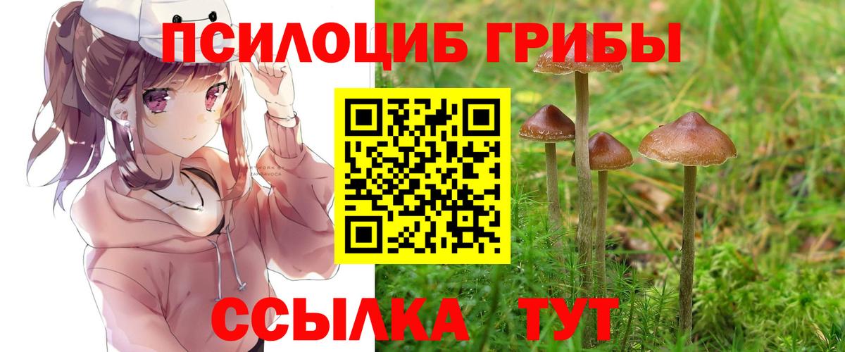 Галлюциногенные грибы ЛСД Фролово